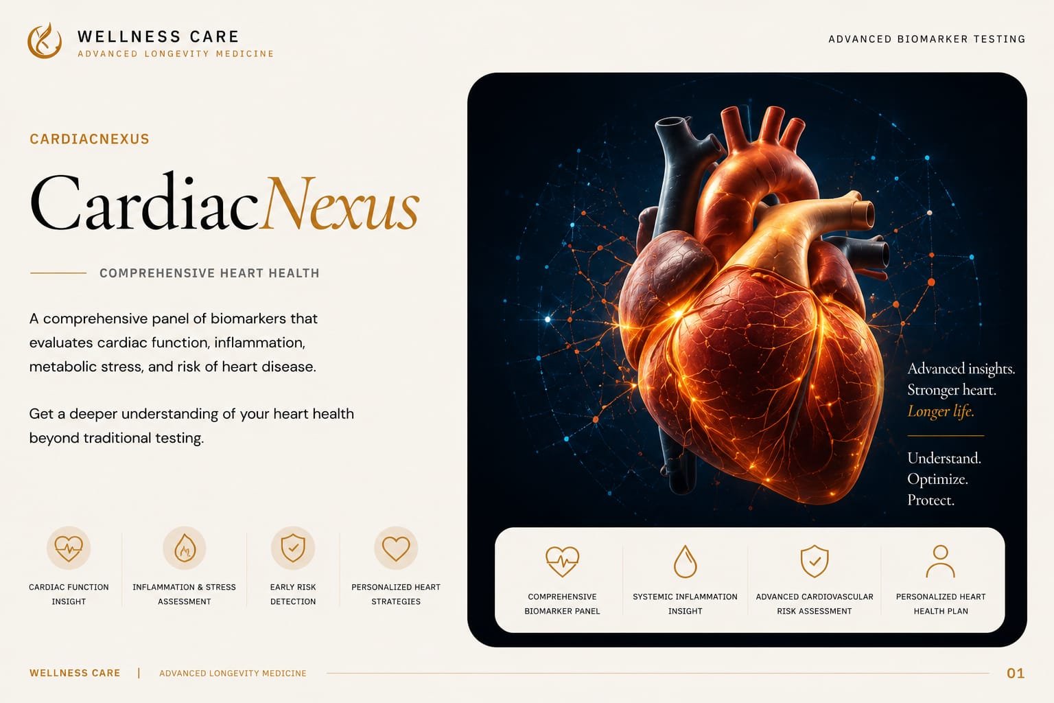SpectraCell CardiacNexus — Comprehensive cardiovascular health panel
