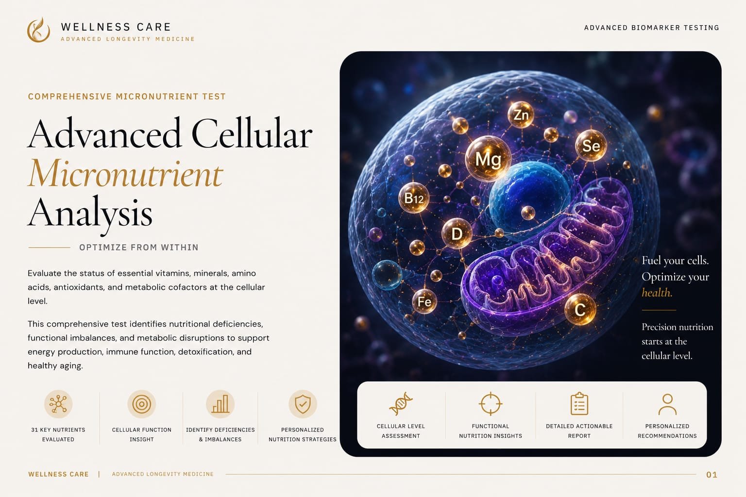 SpectraCell Micronutrient Test — Intracellular analysis of 35 functional nutrients