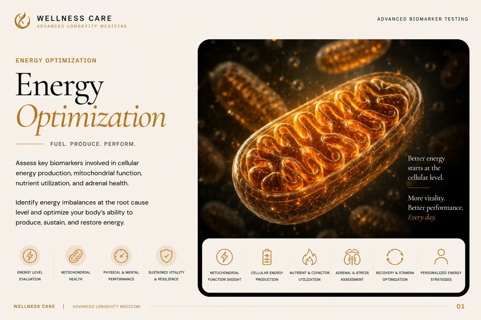 SpectraCell Energy Optimization — Mitochondrial function and energetic cofactor panel