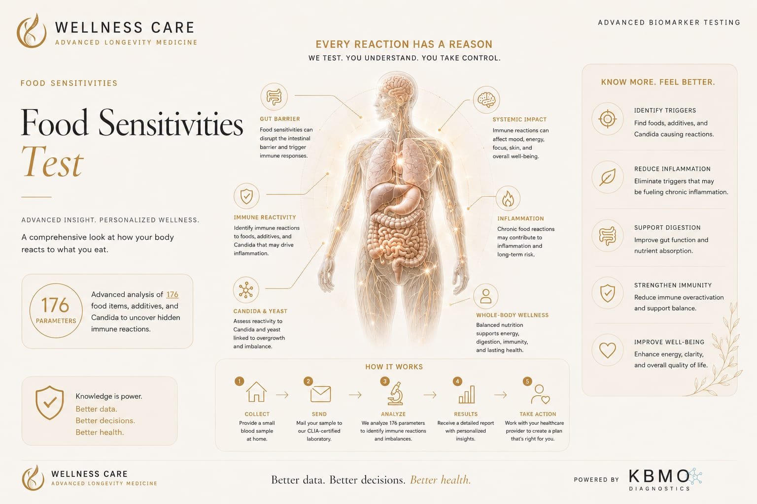 KBMO FIT Food Sensitivities — IgG + complement food hypersensitivity panel