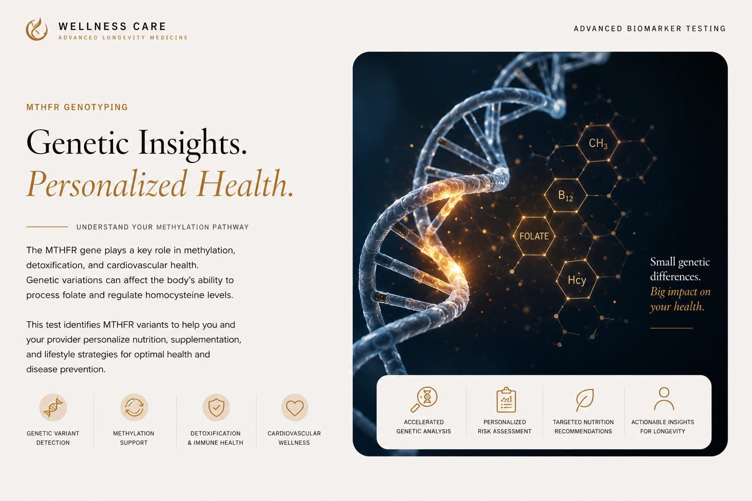 SpectraCell MTHFR Genotyping — MTHFR gene analysis (C677T, A1298C)