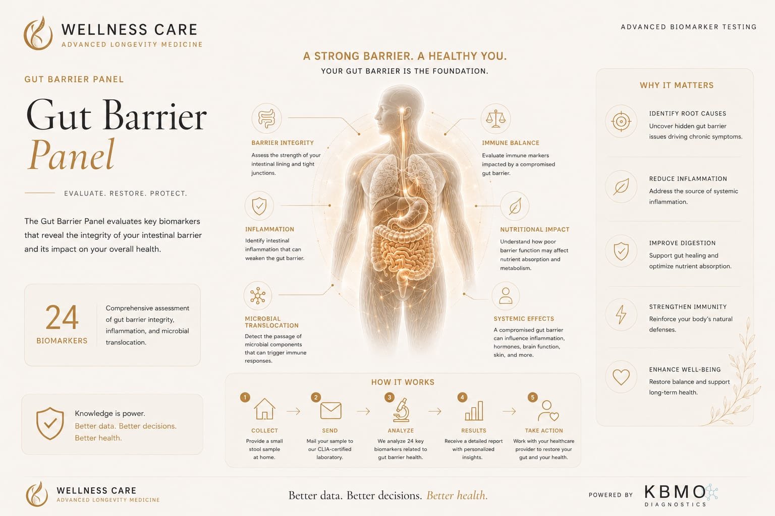 KBMO Gut Barrier Panel — Serological intestinal permeability assessment via antibodies against LPS, zonulin, occludin and actomyosin