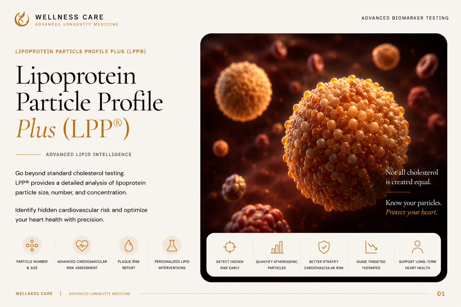 SpectraCell LPP+ — Lipoprotein particle profile by ion mobility