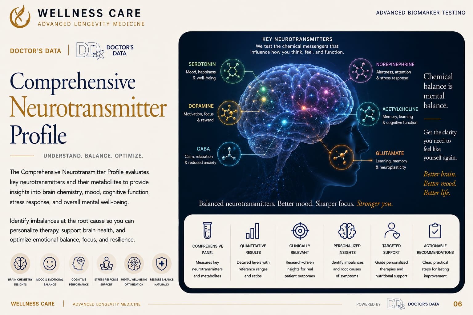 Doctor's Data Comprehensive Neurotransmitter Profile — Complete urinary neurotransmitter and metabolite profile