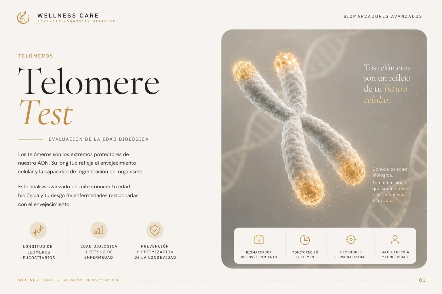 SpectraCell Telomere Test — Biological age assessment by telomere length